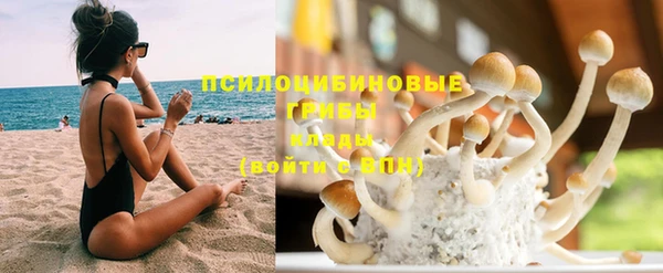 бутират Пестово