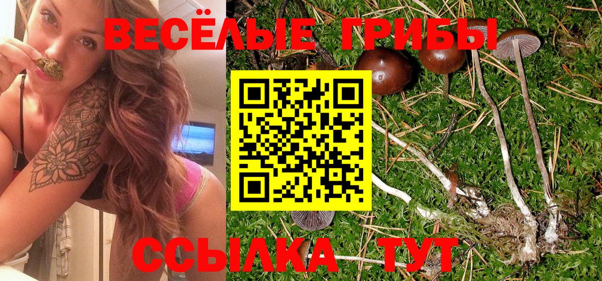 Галлюциногенные грибы GOLDEN TEACHER Соль-Илецк