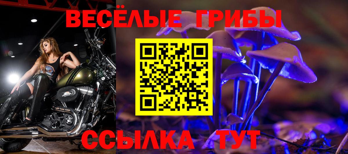 Псилоцибиновые грибы Magic Shrooms  Вход с VPN  закладка  Соль-Илецк 