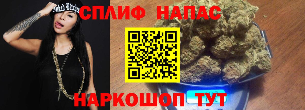 Каннабис план  Бошки марихуана ГИДРОПОН  Соль-Илецк  Конопля индика  Вход с VPN 